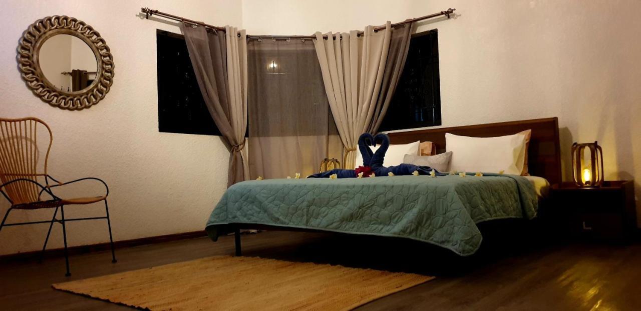 La Maison De La Plage อัลบิออน ภายนอก รูปภาพ